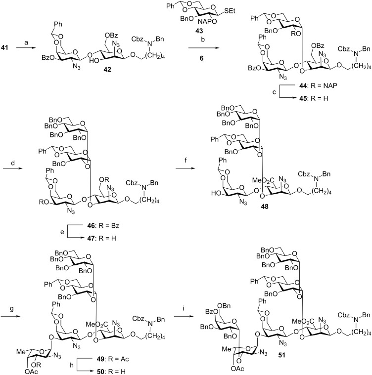 Scheme 8