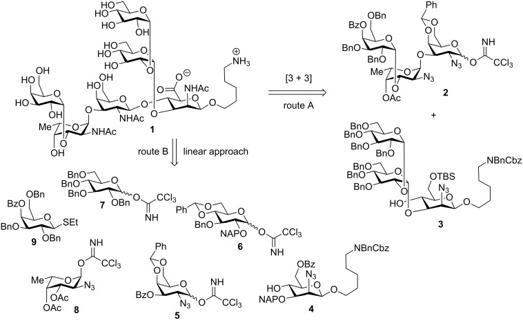 Scheme 1