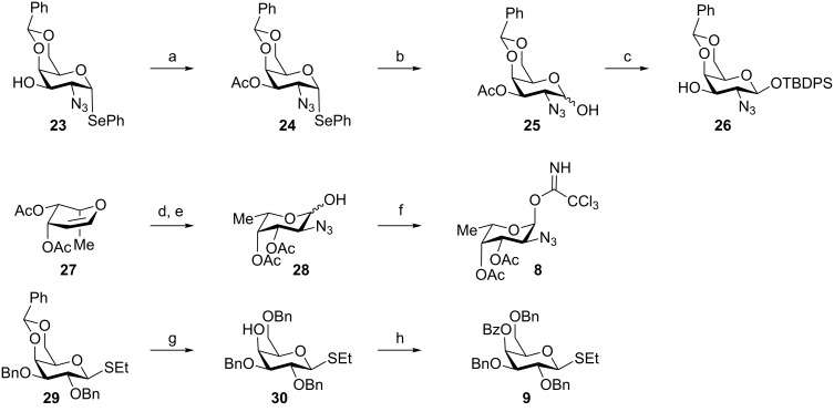 Scheme 5