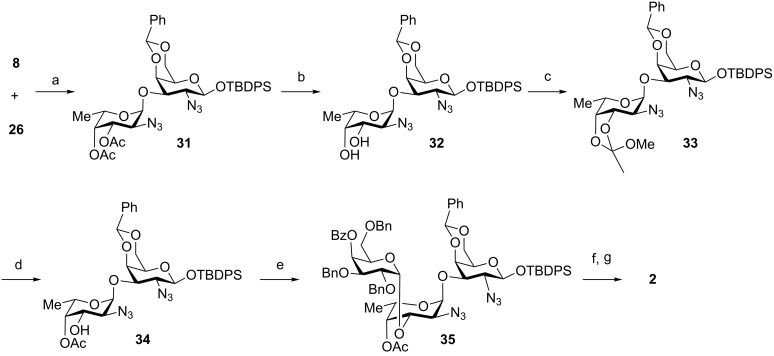 Scheme 6