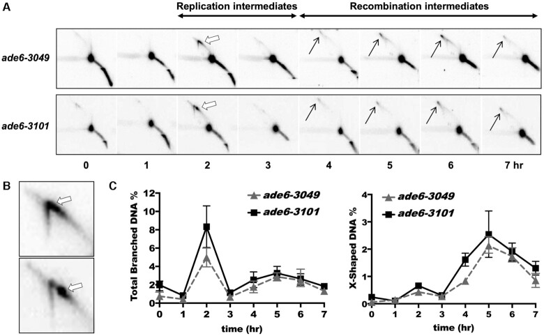 Figure 5.