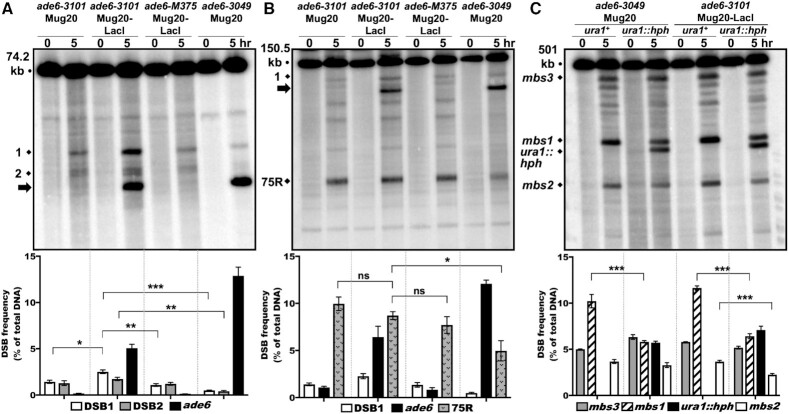 Figure 3.