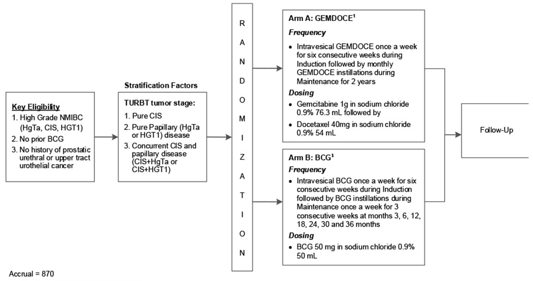 Fig. 1 –