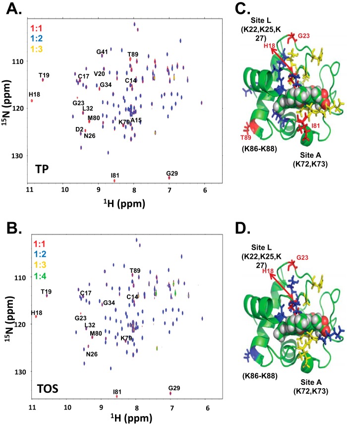 FIGURE 2.