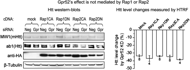 Figure 3—figure supplement 3.