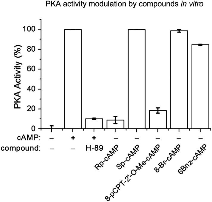 Figure 3—figure supplement 2.