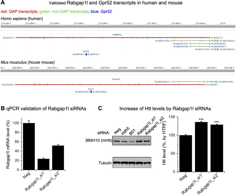 Figure 4—figure supplement 1.