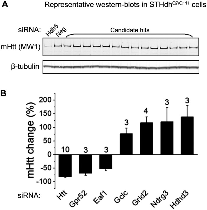 Figure 1—figure supplement 1.