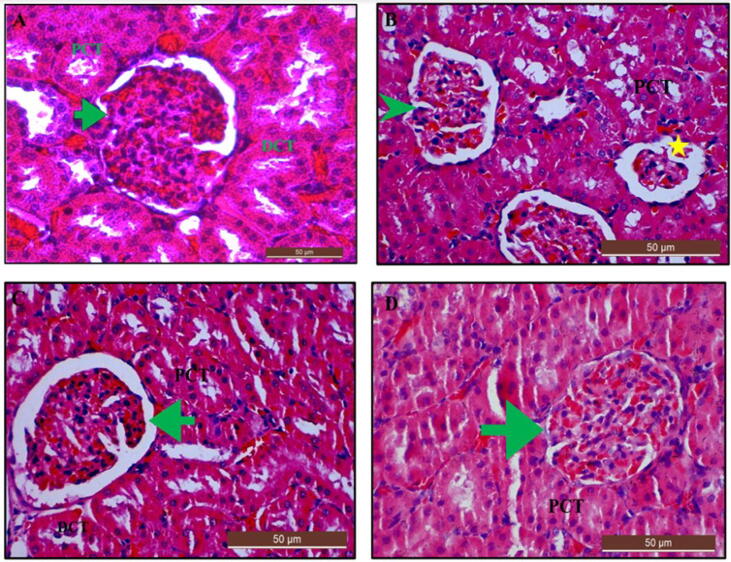 Fig. 16