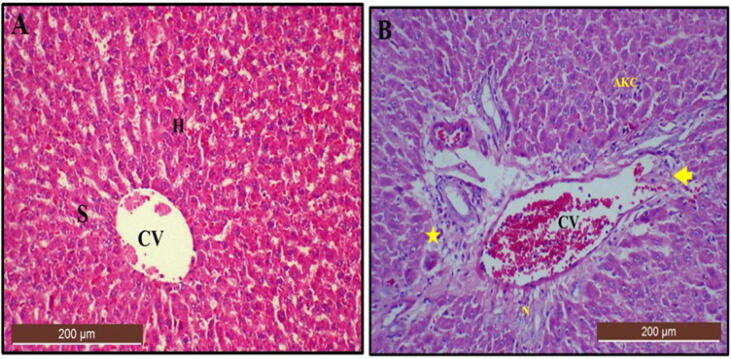 Fig. 13