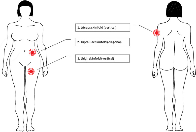 Figure 2