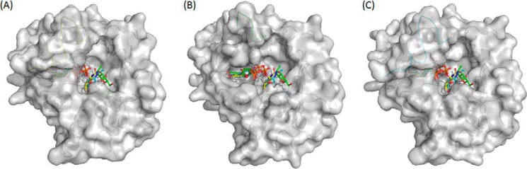 FIGURE 6.