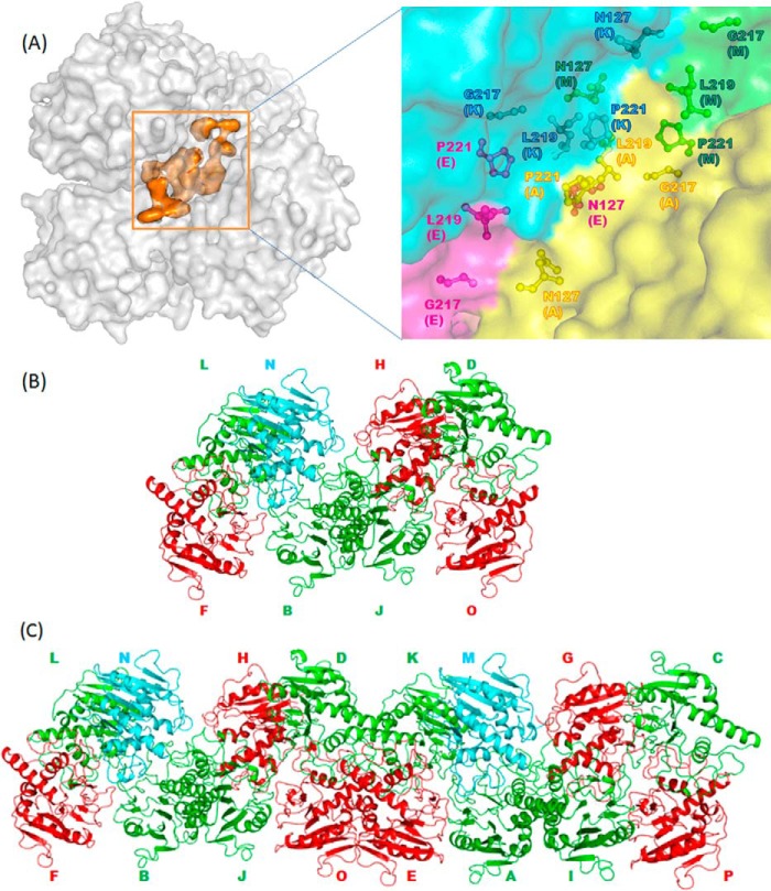 FIGURE 4.