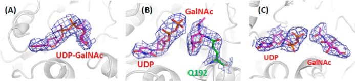 FIGURE 2.