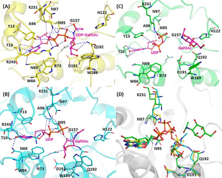 FIGURE 3.