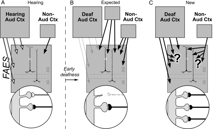 Figure 10.