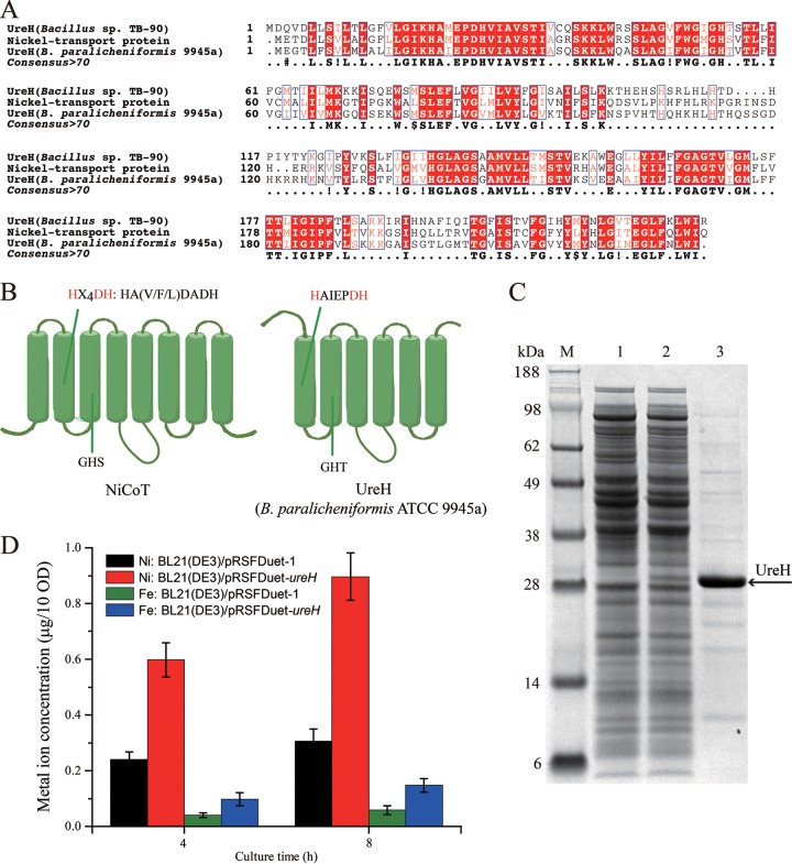 FIG 3