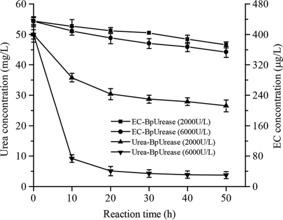 FIG 5