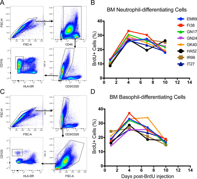 FIGURE 4