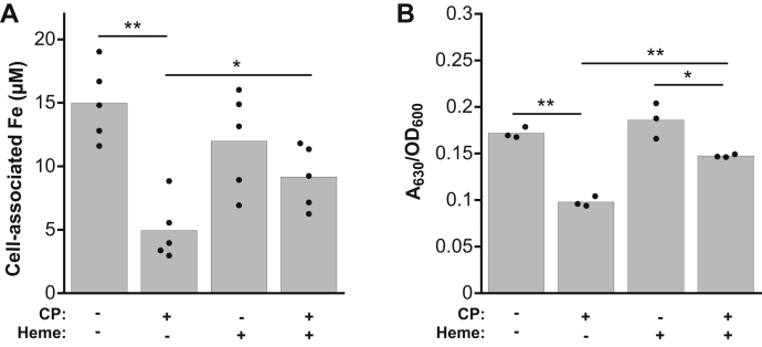 Figure 7