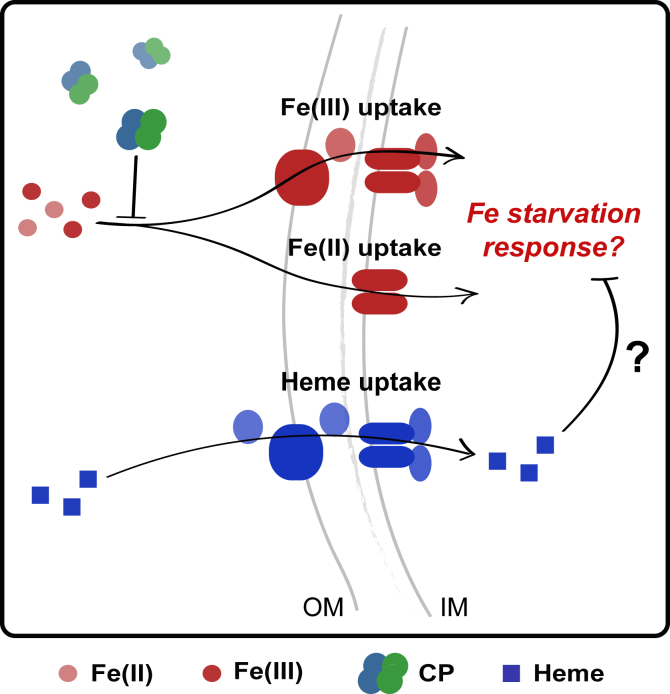 Figure 1