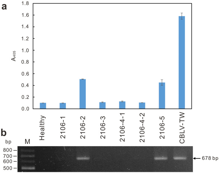 Fig. 6