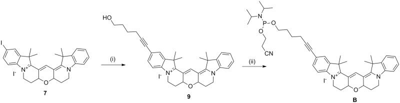 Scheme 2.