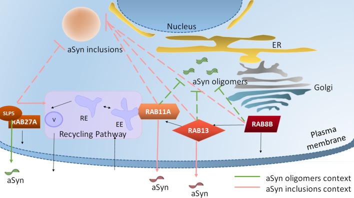 Fig 6