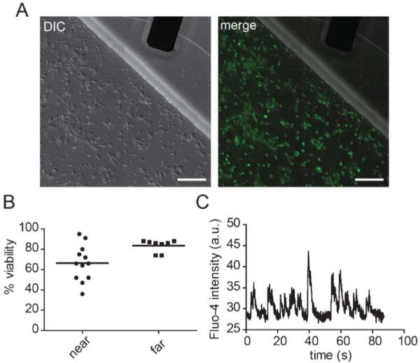 Fig. 2