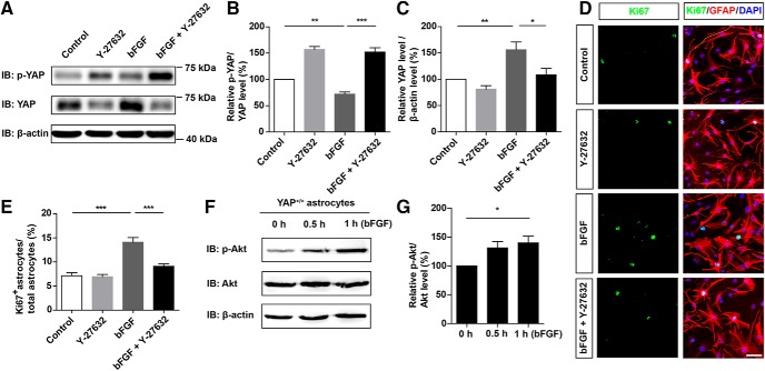 Figure 10.