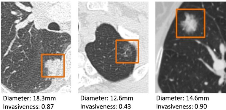 Fig. 9