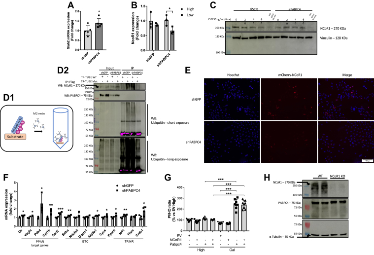 Figure 6