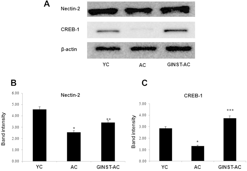 Fig. 7