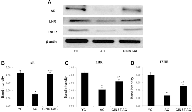 Fig. 9