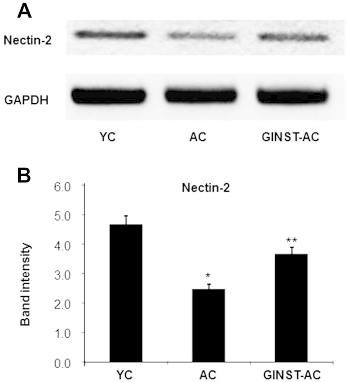 Fig. 8