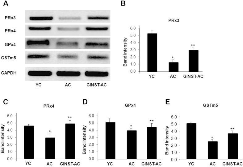 Fig. 6