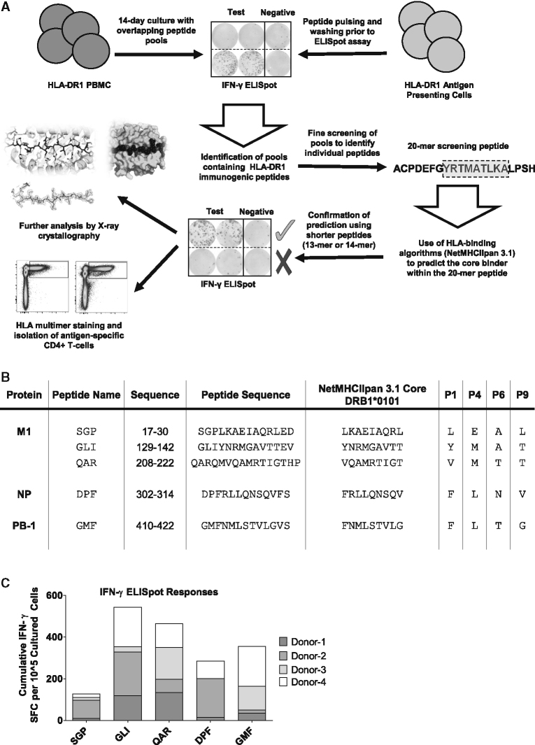 Figure 1