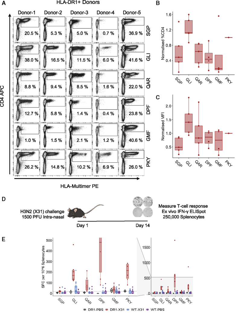 Figure 2