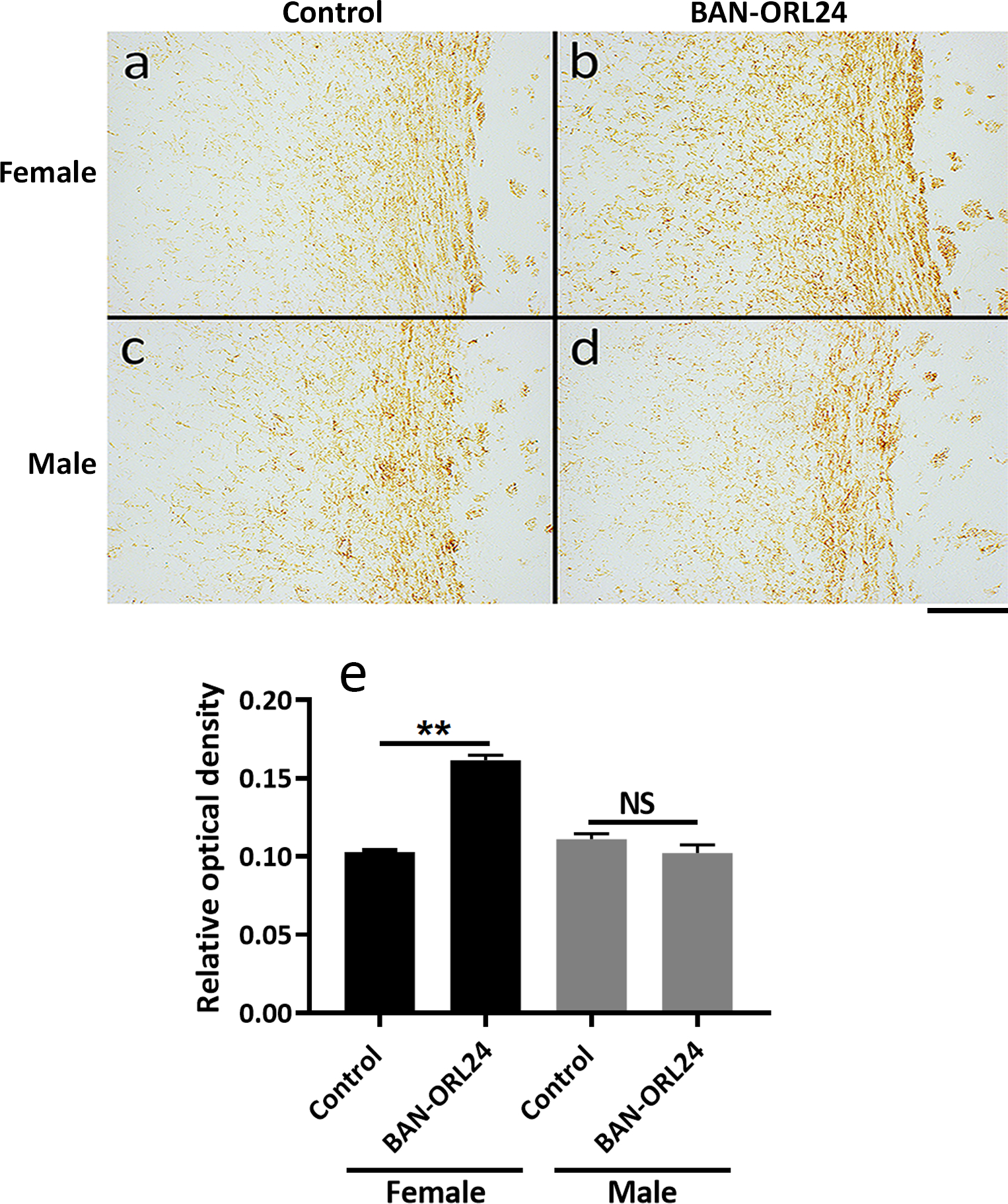 FIGURE 10.