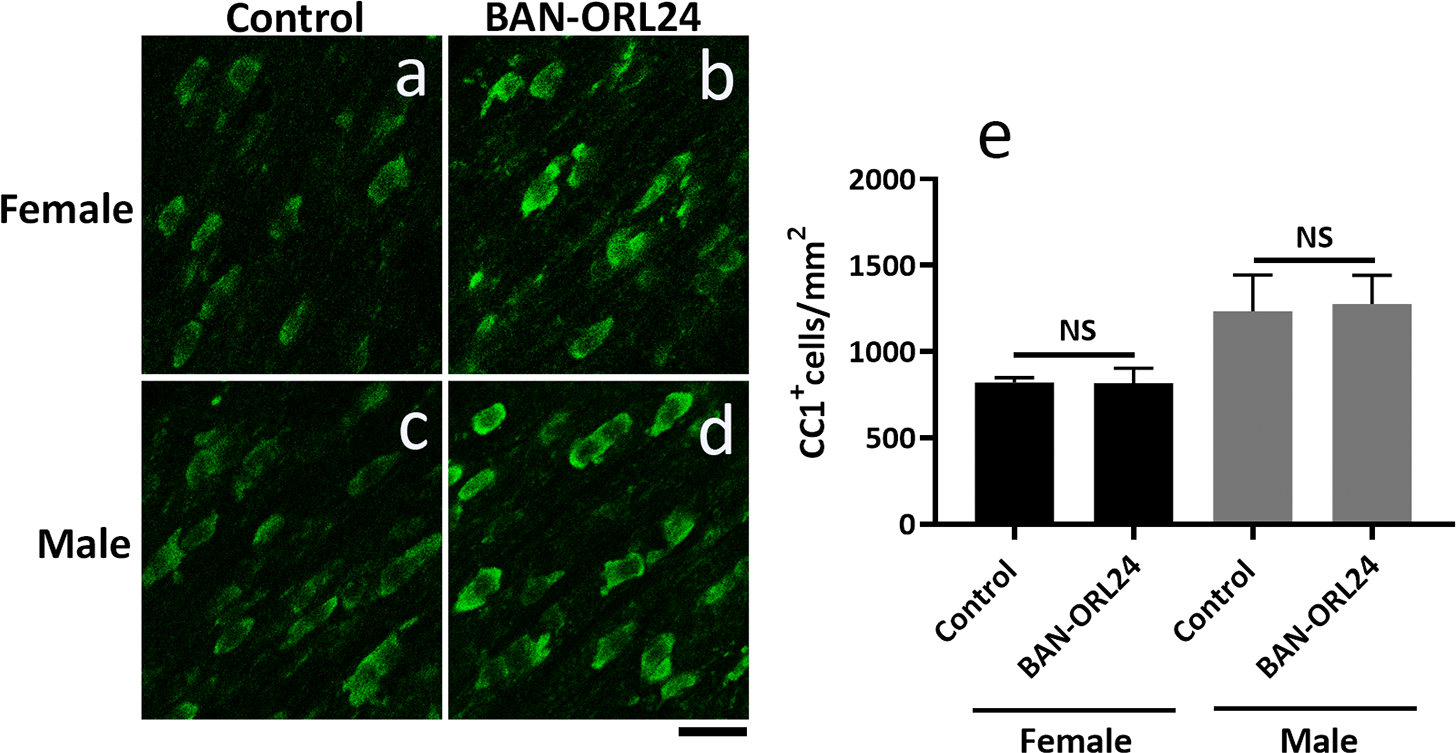 FIGURE 11.