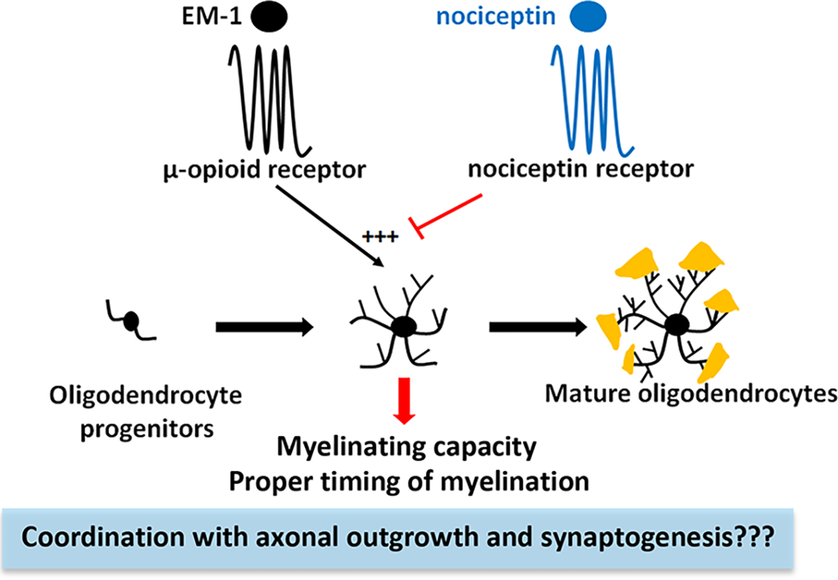 Figure 12.