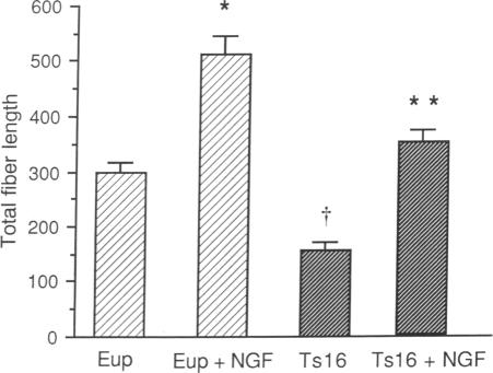 graphic file with name pnas01055-0212-a.jpg