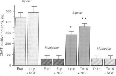 graphic file with name pnas01055-0212-b.jpg