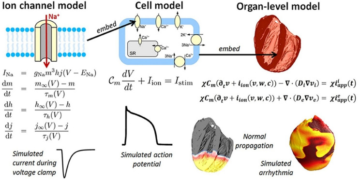 FIGURE 6