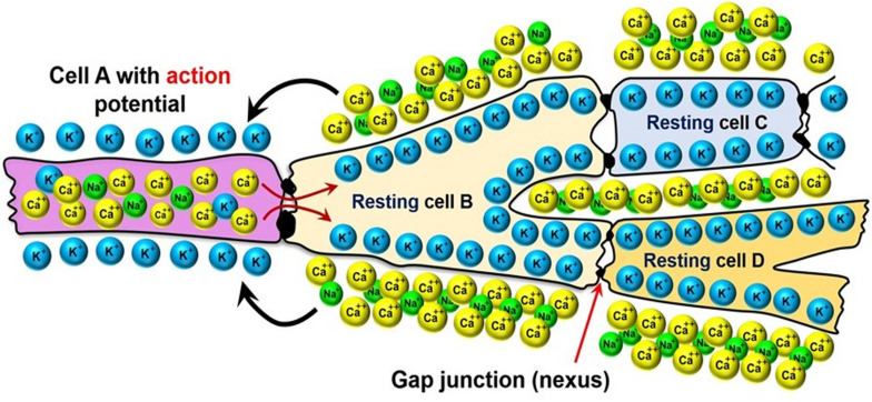 FIGURE 5