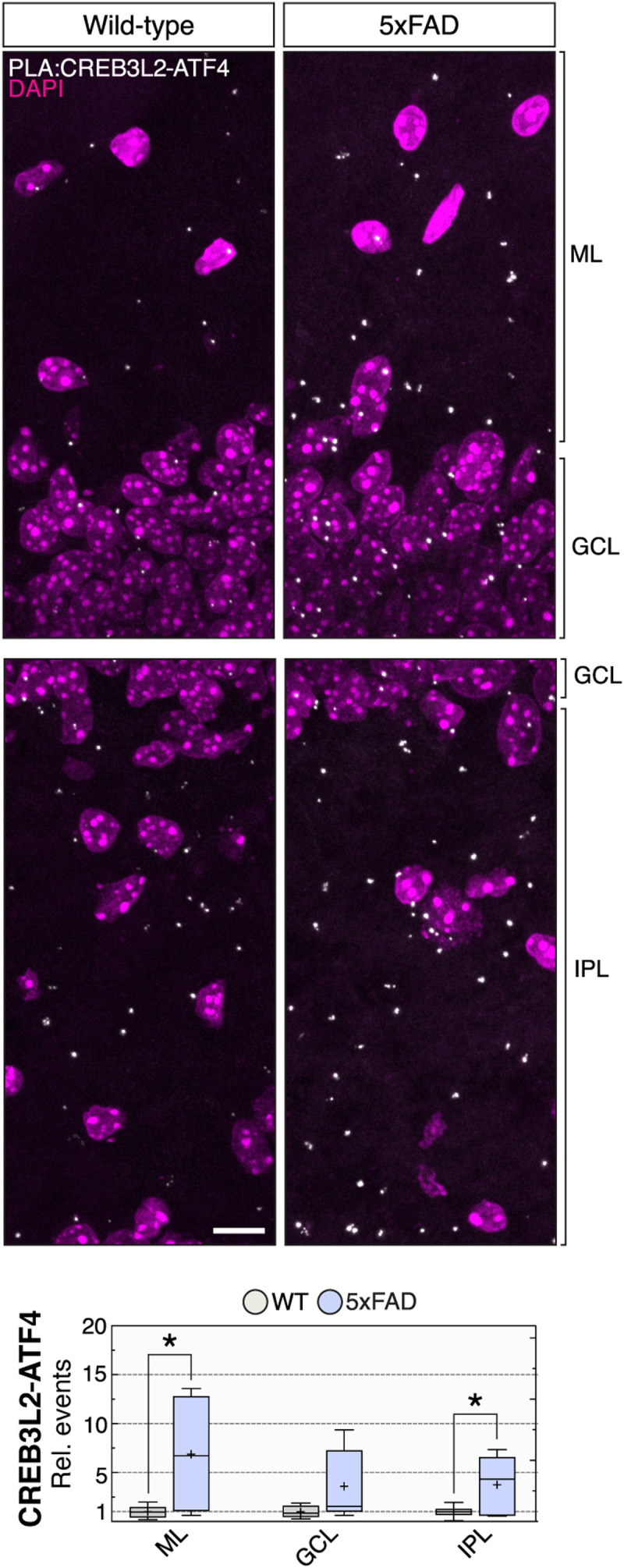 Fig. 2.
