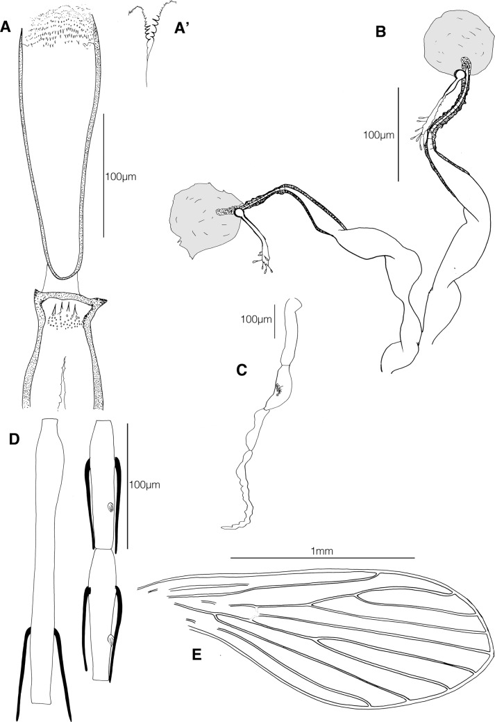 Figure 2.