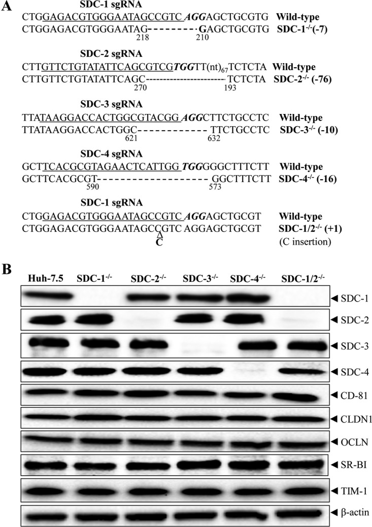 FIG 1