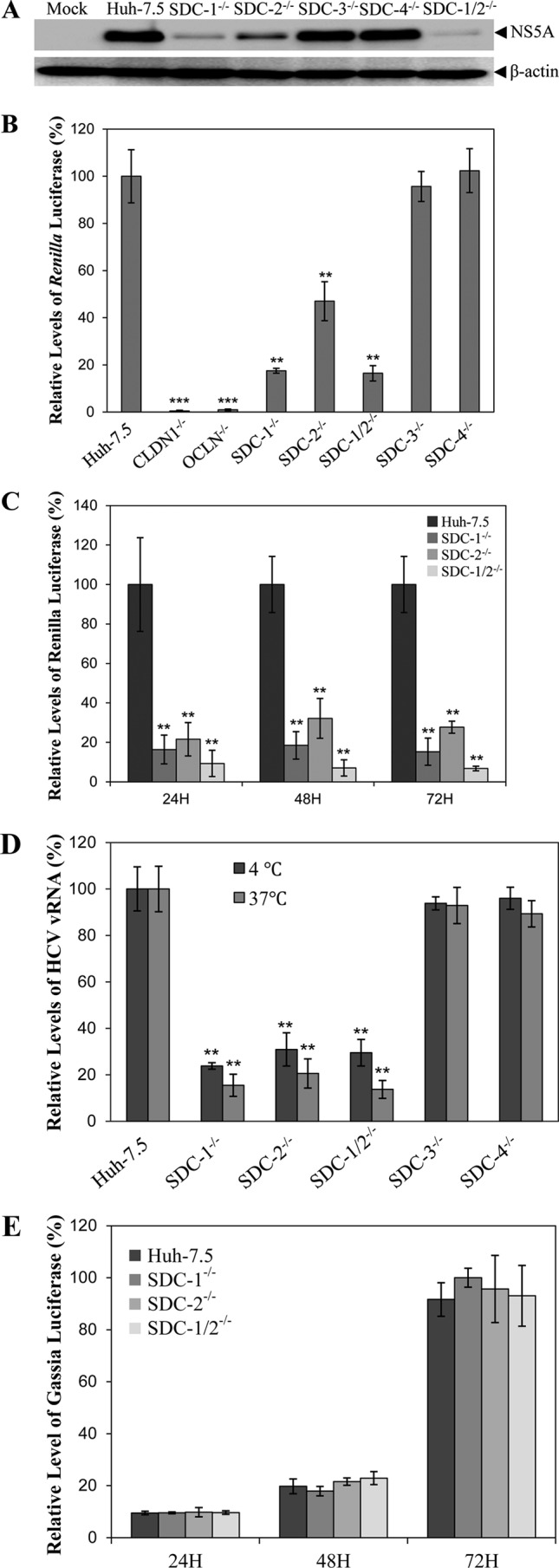 FIG 2