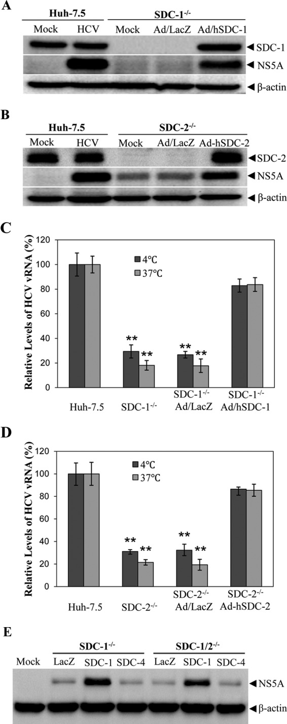 FIG 3